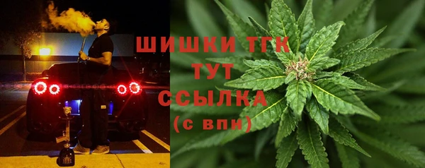 сатива Абаза
