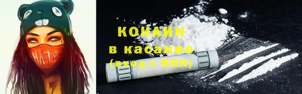 шишки Горняк