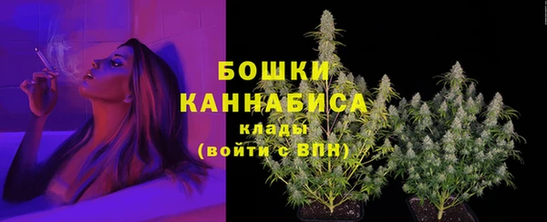 сатива Абаза