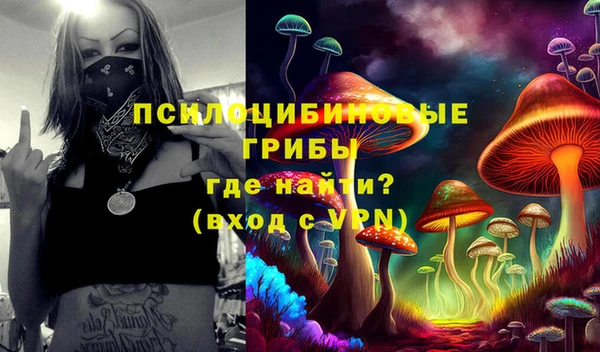 сатива Абаза