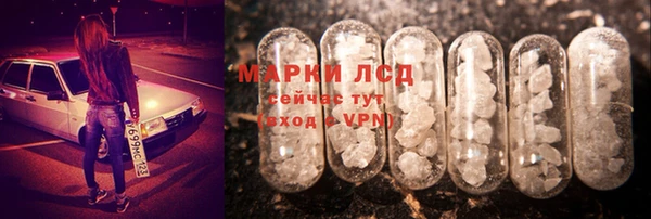 сатива Абаза
