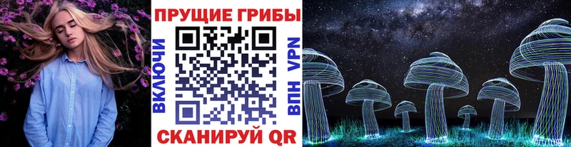 Галлюциногенные грибы Cubensis Инза