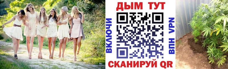 наркошоп  Инза  Канабис планчик 